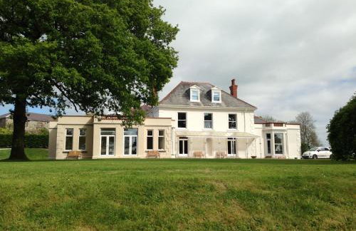 Mansion House Llansteffan - Foto 9