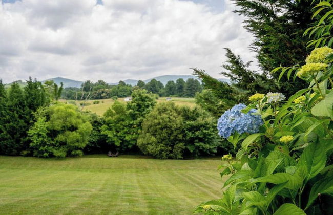 Fairview Vista by Avantstay 10 Mins to Asheville - Photo 42