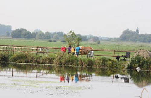 Ferienhof Am Birkensee 55125 - Foto 10