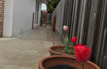 Family Friendly Home Near Monterey - Foto 35