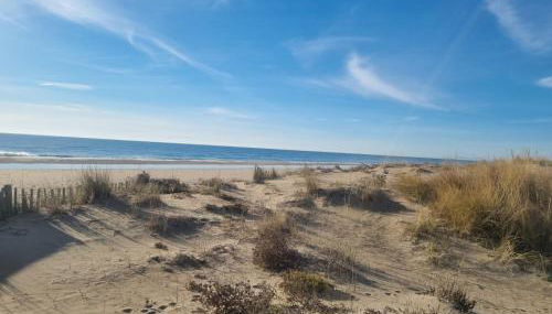 Superbe Studio Rénové les pieds dans l'eau! - Foto 3