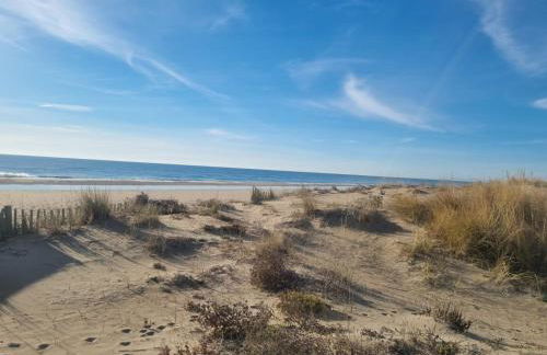 Superbe Studio Rénové les pieds dans l'eau! - Foto 3