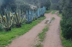 Bel appartement dans hameau calme - Foto 35