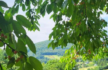 Leśne Wzgórze nad Soliną - Foto 35