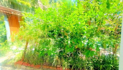 Casa Paradiso - Foto 3, Garden