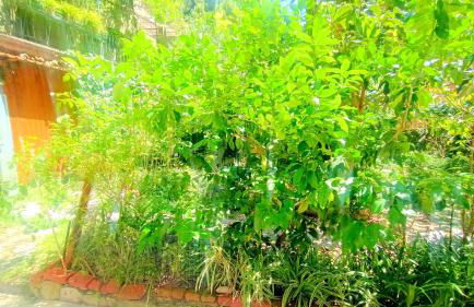 Casa Paradiso - Foto 3