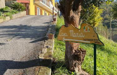 Casa Maria - Photo 1