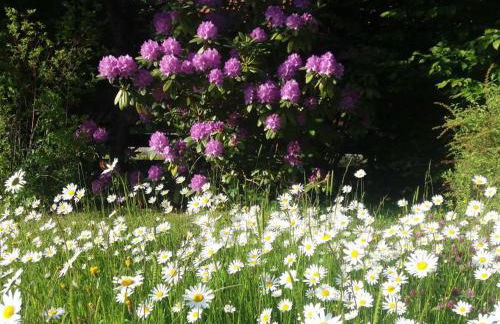 Ferienwohnung Bärnbachl - Foto 14