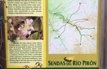 El Carro del Abuelo - Foto 34