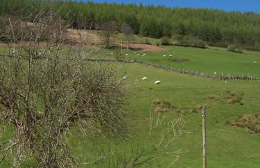 Penmachno Hall - self catering suite - Foto 26