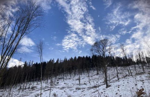 Ferienwohnung "Auszeit" - Photo 53