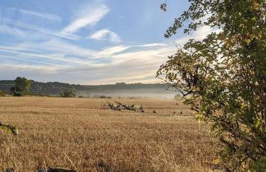 Stylish 3 bed Cotswold cottage with stunning views - Foto 33