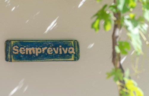 Sempreviva - Foto 44