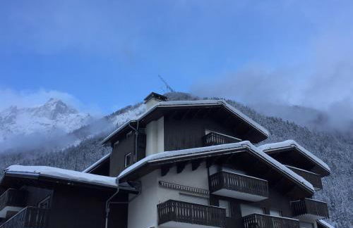 Le petit M Chamonix au pied du Brévent - Photo 12
