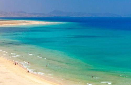 ELE HAUSE Tropical Paradise - Photo 42