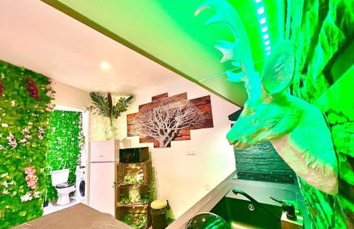 La forêt enchantée, centre ville - Foto 11