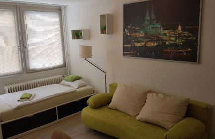 Sonniges Modernes Appartement Höhenberg - Foto 34