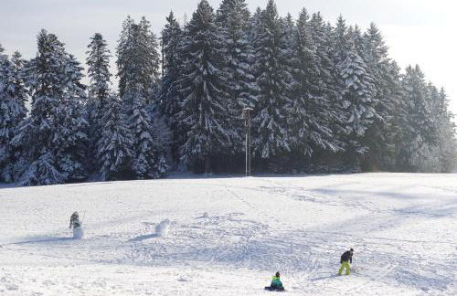RELAX-BLACK Appartement, Allgäu, Bergblick, Sauna - Foto 8