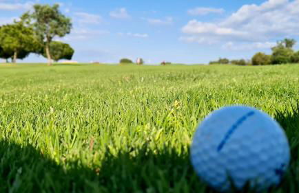 Green and Blue View Apartment Albufeira - Foto 90