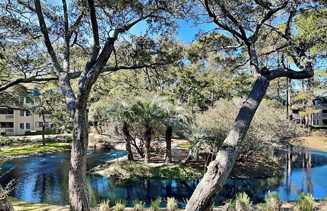 The Spa 1219 - Foto 31