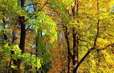 APARTAMENTY SZYNDZIELNIA RODZINNE - 2 SYPIALNIE & BALKON & GÓRY & Parking - TWOJA BAZA WYPADOWA NA SZLAKI i W GÓRY - FAMILY SPACE & BASE - Foto 64