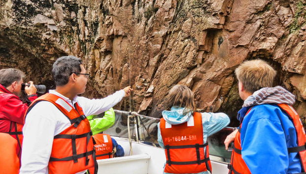 Ica Private Day Trips - Foto 2