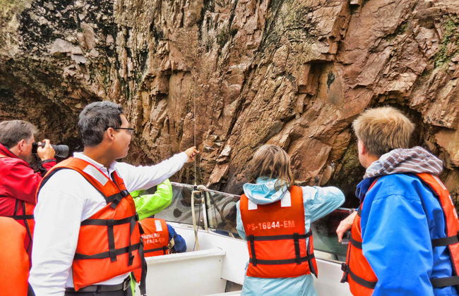 Ica Private Day Trips - Foto 2