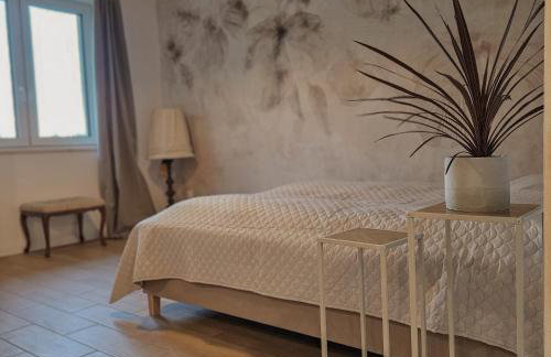 Lawendowy Raj - Foto 23