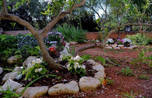 Apartment Marko - Photo 50