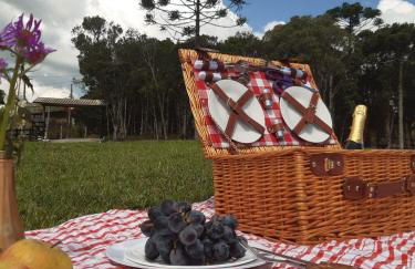 O Chalé Encantado - Rancho Queimado - Photo 38