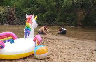 Little Piece of the Farm - Foto 15