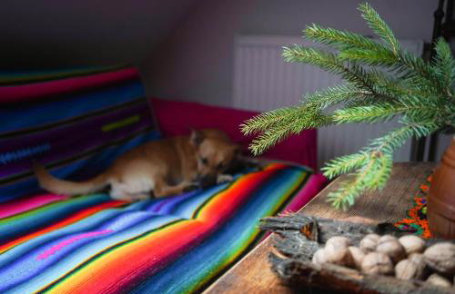 Siedlisko Otulenie - Photo 34