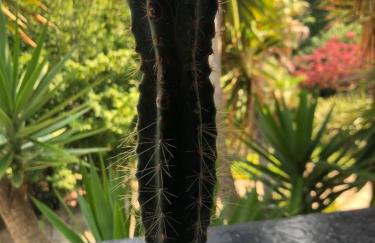 Little Gem with Private Hot Tub - Up to 25 percent off ferry - Foto 14