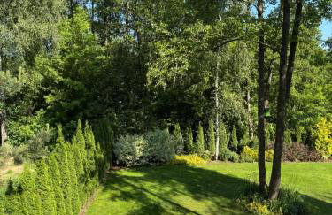 Leśne zacisze nad Narwią - Foto 45