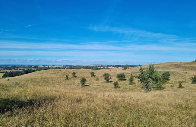 4 Star Holiday Home in Borre - Foto 4