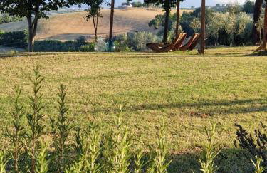 ZEM casolare - Foto 24