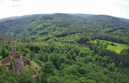 CASA Palatina - Foto 23