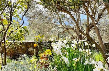 Maison Théia, entre mer et montagne Samonas - Foto 46