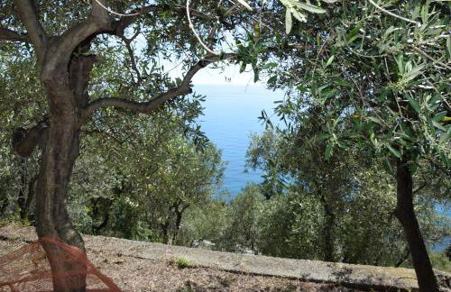 Corner of Paradise near Cinque Terre - Foto 50