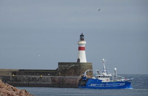 Green Yurt with Hot Tub - Sleeps 3 Parking & Pets - Photo 26