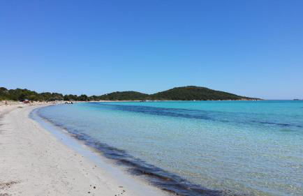 Les Studios de Fiori - Studios et Appartement T2 - Cala Rossa - proche Porto Vecchio - Foto 42