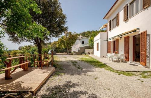 La Vecchia Quercia - Foto 4