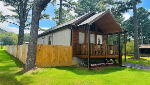 Rustic Chic Alabama Cabin w Loft Fire Pit Pet Friendly Fenced Yard Lake Guntersville - Coco Chateau - Foto 2