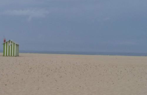 Atlantic Beach-side Apartment - Foto 21