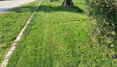 Agriturismo La Collinetta - Foto 5, Garden, Garden view