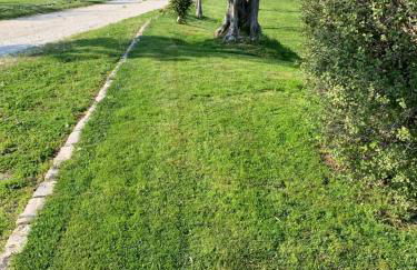 Agriturismo La Collinetta - Foto 5