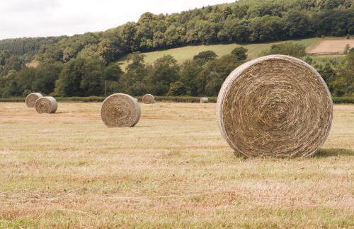 Lower Tundridge Cottage - Photo 37