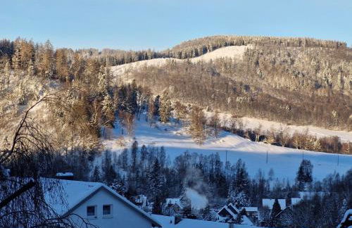Birkenstübchen - Foto 48