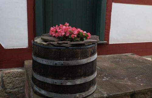Ferienhaus Kieselbach in der thüringischen Rhön - Foto 33