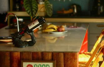 Propriedade inteira e Kombi-home em meio à mata - Foto 32